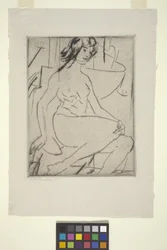 Iris (torrnål)