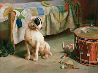 Hide and Seek (olja)