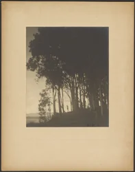 Dansande nymf