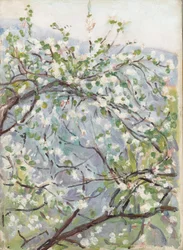 Blossom, ca 1900