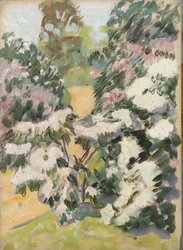 Blossom, ca 1900