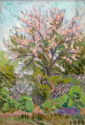 Körsbärsblomma med spaljéstängsel nedanför
