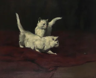 Arthur Heyer Kattunge tittar på en skalbagge