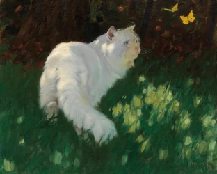Vit katt och fjärilar