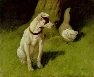 Vit persisk katt och Jack Russell