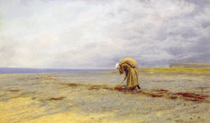 Insamling av tång