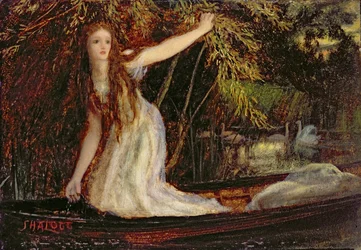 The Lady of Shalott