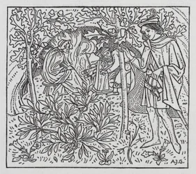 Hans Christian Andersen: Paradisets trädgård (litho)