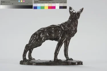 Alert Coyote (brons)
