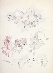 Ange: Spindelnät, Moth, Senapsfrö & Peaseblossom. Illustration till Shakespeares "A Midsommars-Night Dream", c.1908