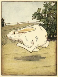Peter slutade aldrig springa, från The Tale of Peter Rabbit, pub. 1916 (lito i färg)