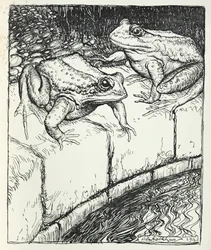 The Frogs and the Well, mchoro kutoka 