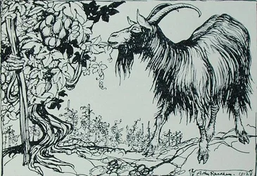 Geten och vinrankan, illustration från "Aesops fabler", utgiven av Heinemann