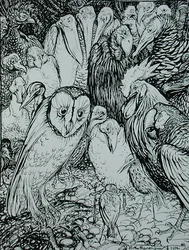 Uggla och fåglarna, illustration från "Aesops fabler", utgiven av Heinemann