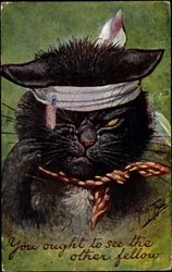 Cat, du borde se den andra killen