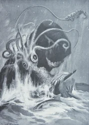 Kraken vs spermvalar
