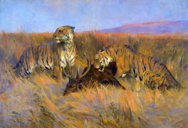 Tigers at Kill (olja på duk)