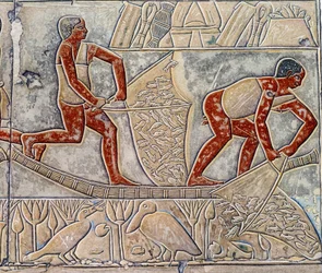 Konst Egypten: fiske vid utmattning. College liknar Mastaba of Mereruka.
