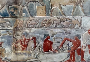 Konst Egypten: gavage av en hyene. College liknar Mererukas mastaba.