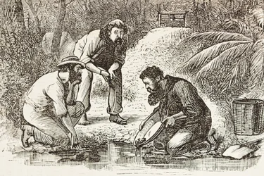 Australien (1880). Guldgrävarnas liv i Botany Bay (grundat 1788). Gravyr. Privat samling