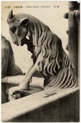 Gargoyle eller chimere på katedralen Notre Dame de Paris, byggd mellan 1163 och 1300-talet - Vykort, Selva-samlingen