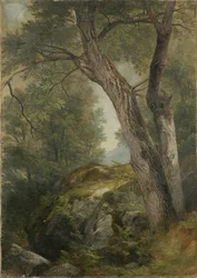 Butternutträd i Hague, Lake George, New York, 1862