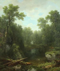 Chapel Pond Brook, Keene Flats, Adirondackbergen, New York, 1871