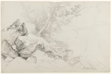 Studie av stenar med träd, Haag, Lake George, New York, 1862 (grafit på grått papper)