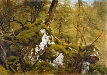 Studie av ett skogsinteriör, omkring 1855