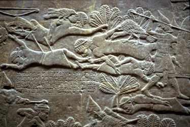 Ashurbanipal vid slaget vid Til-Tuba, 650-620 f.Kr