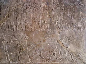 Orientalisk antikvitet: detalj av en basrelief i kalksten: musikerna från Assurbanipals eller Ashurbanipals rustning, kungen av Assyrien (Mesopotamien) (669 f.Kr.-627 f.Kr.). 640 f.Kr. Från Nineve. Paris, Louvren