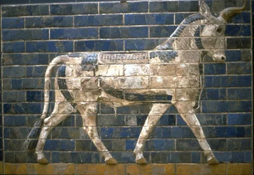 Ishtarporten, Babylon. Relief av tjur, 600-talet f.Kr