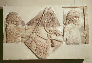 Fragment av en relief föreställande medianbifloder