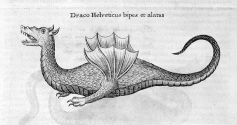 Drake, 1678
