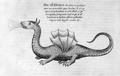 Drake, 1678
