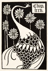 Påfågel, kapitelrubrik