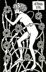 hermafrodit bland rosorna från Le morte d