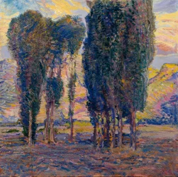 Poplar