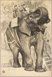Elefant med ryttare