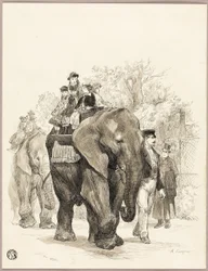 Elefant med ryttare i Jardin des Plantes, Paris