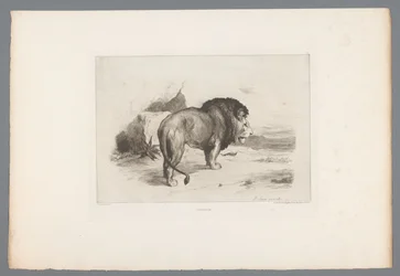 Lejon Un vieux lion (titel på objekt) Franska etsningar från 1874 (serietitel) L