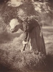 Bonde, c. 1870.