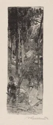 Avverkning av tallar, 1887.