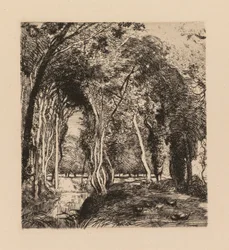 Auguste Lepère: Undervegetation, vid La Rigonette (Vendèe)