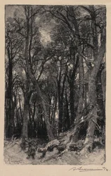 Fontainebleau-skogen: Bas-Bréau Skogen i Fontainebleau: Le Bas-Bréau, 1890.