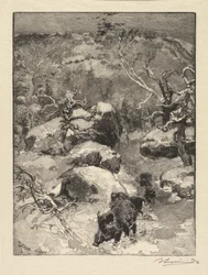 Fontainebleau Forest: Cuvier-Châtillon Cliff Skogen i Fontainebleau: Roche Cuvier-Châtillon, 18