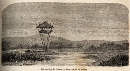 En risvakt, nära Batavia (dagens Jakarta). Teckning av M. de Molins, för att illustrera hans resa till Java