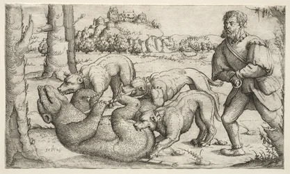 En björnjakt, 1569.