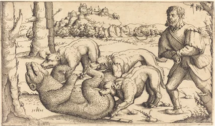 Björnjakt
