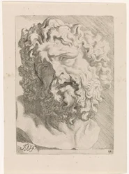 Chef för Laocoon Studier till en bok med teckningar av klassiska skulpturer och figurer av Anthony van Dyck (serietitel)